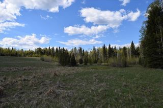 Photo 11: TWP Rd 310: Rural Mountain View County Land for sale : MLS®# C4292828
