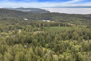 Photo 46: 3765 Otter Point Rd in Sooke: Sk Kemp Lake House for sale : MLS®# 909804