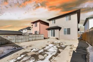 Photo 36: 968 Taradale Drive NE in Calgary: Taradale Detached for sale : MLS®# A2114413