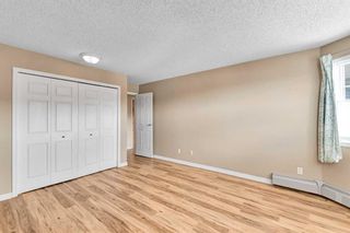 Photo 19: 505 1919 17 Avenue SW in Calgary: Bankview Apartment for sale : MLS®# A2124129