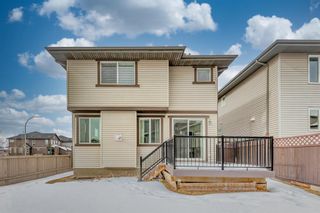 Photo 42: 4 Evansview Park NW in Calgary: Evanston Detached for sale : MLS®# A2029589