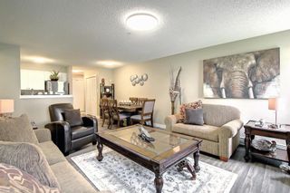 Photo 7: 2109 2600 66 Street NE in Calgary: Pineridge Apartment for sale : MLS®# A1142576