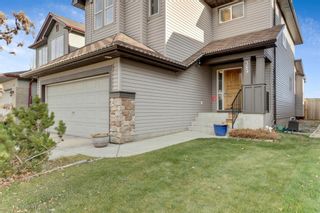 Photo 35: 389 Evanston View NW in Calgary: Evanston Detached for sale : MLS®# A1043171