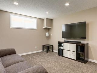 Photo 14: 263 SKYVIEW POINT Road NE in Calgary: Skyview Ranch Residential for sale ()  : MLS®# C4113188