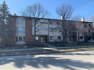 Photo 1: 304 173 Watson Street in Winnipeg: Seven Oaks Crossings Condominium for sale (4H)  : MLS®# 202209010