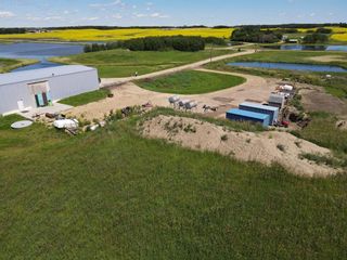 Photo 24: 46440 213 Range: Rural Camrose County Residential Land for sale : MLS®# A1209797