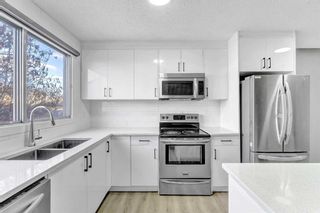 Photo 1: 16 Castlepark Way NE in Calgary: Castleridge Semi Detached (Half Duplex) for sale : MLS®# A2114958