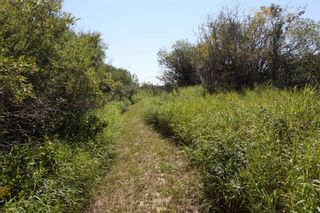 Photo 15: SE1/4 30-19-28-W4: Rural Foothills County Residential Land for sale : MLS®# A1140505