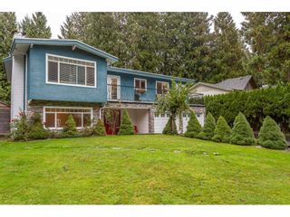Photo 2: 19673 116B Avenue in Pitt Meadows: South Meadows House for sale : MLS®# R2412129