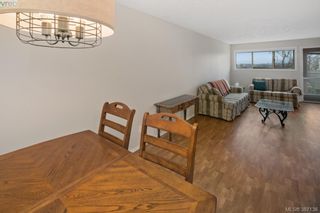 Photo 5: 201 4535 Viewmont Ave in VICTORIA: SW Royal Oak Condo for sale (Saanich West)  : MLS®# 777870