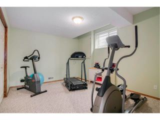 Photo 29: 167 Lakeside Greens Court: Chestermere House for sale : MLS®# C4012387