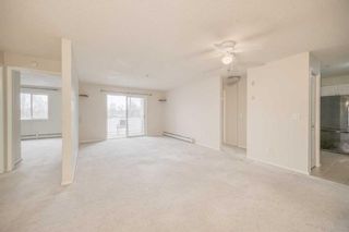 Main Photo: 2212 6224 17 Avenue SE in Calgary: Red Carpet Apartment for sale : MLS®# A2131242