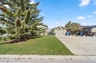 Photo 25: 1230 Downie Street: Carstairs Detached for sale : MLS®# A2130535