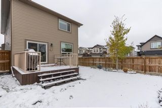 Photo 25: 2204 Brightoncrest Common SE in Calgary: New Brighton Detached for sale : MLS®# A1043586