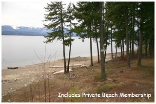 Photo 48: 5255 Chasey Road: Celista House for sale (North Shore Shuswap)  : MLS®# 10078701