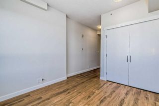 Photo 18: 1217 8880 Horton Road SW in Calgary: Haysboro Apartment for sale : MLS®# A2081789