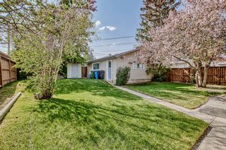 Photo 8: 1027 34 Street SE in Calgary: Albert Park/Radisson Heights Detached for sale : MLS®# A2050547