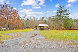 Photo 6: 0 Morrison Road in Madoc: Property for sale : MLS®# X8050940