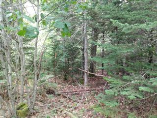 Photo 5: Lot 1N Highway 325 in West Clifford: 405-Lunenburg County Vacant Land for sale (South Shore)  : MLS®# 202220360