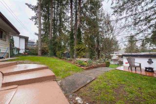 Photo 16: 31867 CARLSRUE Avenue in Abbotsford: Abbotsford West House for sale : MLS®# R2373438