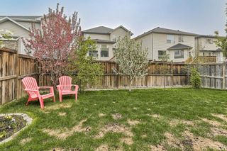 Photo 29: 441 Kincora Drive NW in Calgary: Kincora Detached for sale : MLS®# A2050152