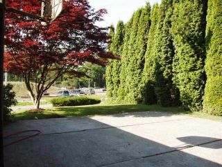 Photo 7: 14133 56A Ave in Surrey: Home for sale