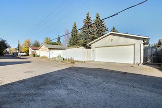 Photo 46: 1711 65 Street NE in Calgary: Pineridge Detached for sale : MLS®# A1038776