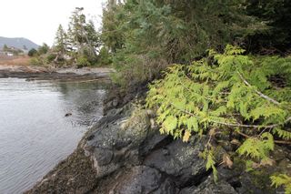 Photo 3: 1172 Coral Way in Ucluelet: PA Ucluelet Land for sale (Port Alberni)  : MLS®# 866410
