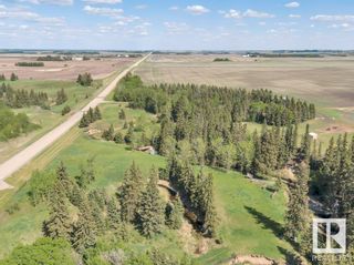 Photo 39: 233027 HWY 613: Rural Wetaskiwin County House for sale : MLS®# E4358034