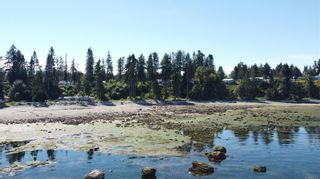 Photo 72: 4099 S Island Hwy in Campbell River: CR Campbell River South House for sale : MLS®# 912371