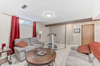 Photo 44: 440 Cantrell Drive SW in Calgary: Canyon Meadows Detached for sale : MLS®# A2113412