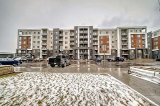 Photo 2: 1106 4641 128 Avenue NE in Calgary: Skyview Ranch Apartment for sale : MLS®# A2128394