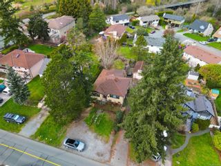 Photo 3: 920 Lodge Ave in Saanich: SE Quadra House for sale (Saanich East)  : MLS®# 957551