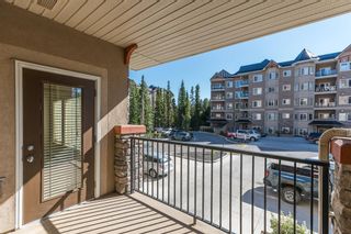 Photo 12: 103 30 Discovery Ridge Close SW in Calgary: Discovery Ridge Apartment for sale : MLS®# A1144309