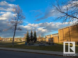 Photo 4: 14317 98 Avenue in Edmonton: Zone 10 Vacant Lot/Land for sale : MLS®# E4373196