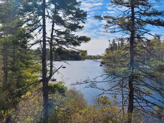 Photo 4: Lot 12 Virginia Road in West Springhill: Annapolis County Vacant Land for sale (Annapolis Valley)  : MLS®# 202300026