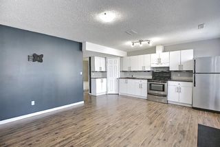 Photo 31: 119 Martinwood Court NE in Calgary: Martindale Detached for sale : MLS®# A1138566