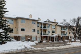 Main Photo: 318 9449 19 Street SW in Calgary: Palliser Apartment for sale : MLS®# A2028234