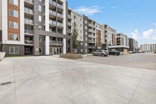 Photo 41: 3213 4641 128 Avenue NE in Calgary: Skyview Ranch Apartment for sale : MLS®# A2079955