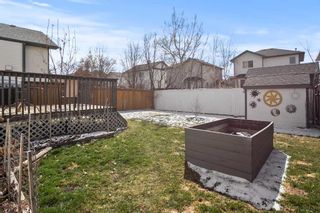 Photo 19: 67 SILVER SPRINGS Way NW: Airdrie Detached for sale : MLS®# A2123786