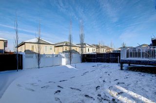 Photo 49: 207 East Lakeview Court: Chestermere Detached for sale : MLS®# A1173779
