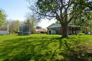 Photo 6: 18 Anne Street in Quinte West: House (Bungalow) for sale : MLS®# X5246040