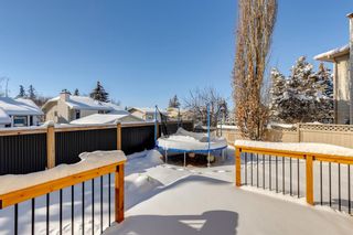 Photo 43: 33 Mckinley Bay SE in Calgary: McKenzie Lake Detached for sale : MLS®# A2027542