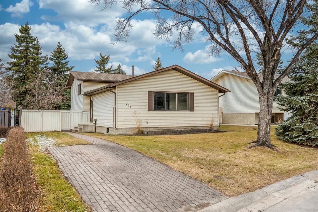 Main Photo: 227 Rundleson Place NE in Calgary: Rundle Detached for sale : MLS®# A1166551