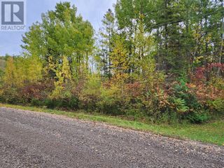 Photo 6: 14 Birch St in Manitowaning: Vacant Land for sale : MLS®# 2113802