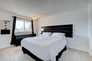 Photo 12: 3407 Cedarille Drive SW in Calgary: Cedarbrae Semi Detached (Half Duplex) for sale : MLS®# A2125470