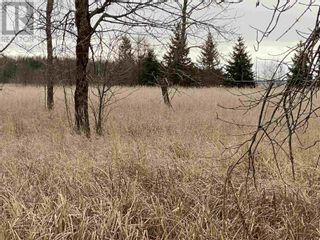 Photo 10: Lot 2 & 3 Con 6 Nelson RD in Ste. Joseph Island: Vacant Land for sale : MLS®# SM240115