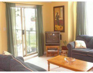 Photo 4: 401 1650 GRANT AV in Port Coquitlam: Home for sale : MLS®# V601920