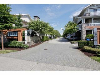 Main Photo: 166 20033 70 Avenue in Langley: Willoughby Heights Townhouse for sale in "DENIM" : MLS®# F1440325
