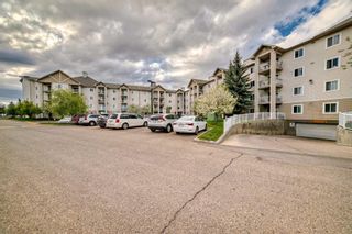 Photo 41: 209 1717 60 Street SE in Calgary: Red Carpet Apartment for sale : MLS®# A2133379